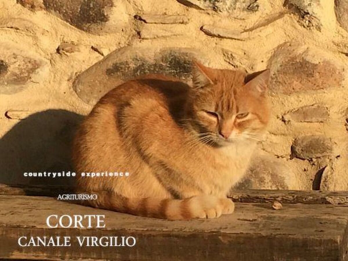Appartement à la ferme Corte Canale Virgilio, Volta Mantovana - Photo 37