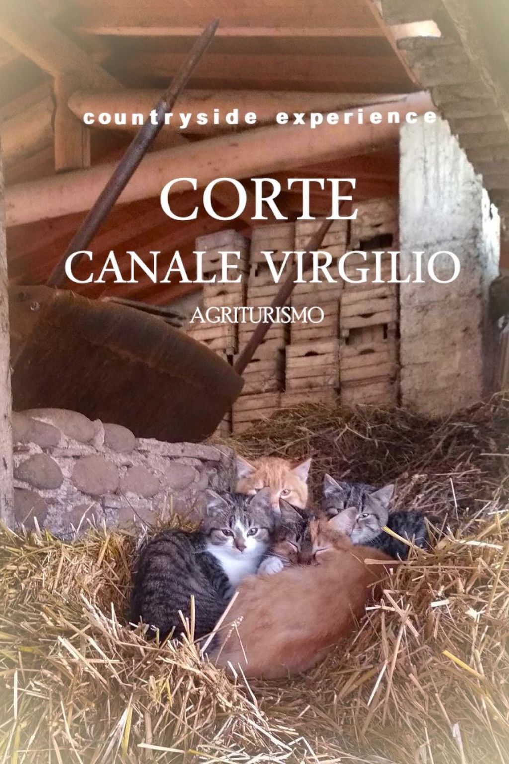 Appartement à la ferme Corte Canale Virgilio, Volta Mantovana - Photo 38