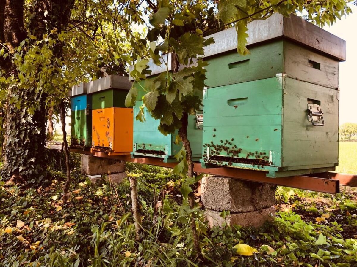 Appartement à la ferme Corte Canale Virgilio, Volta Mantovana - Photo 40