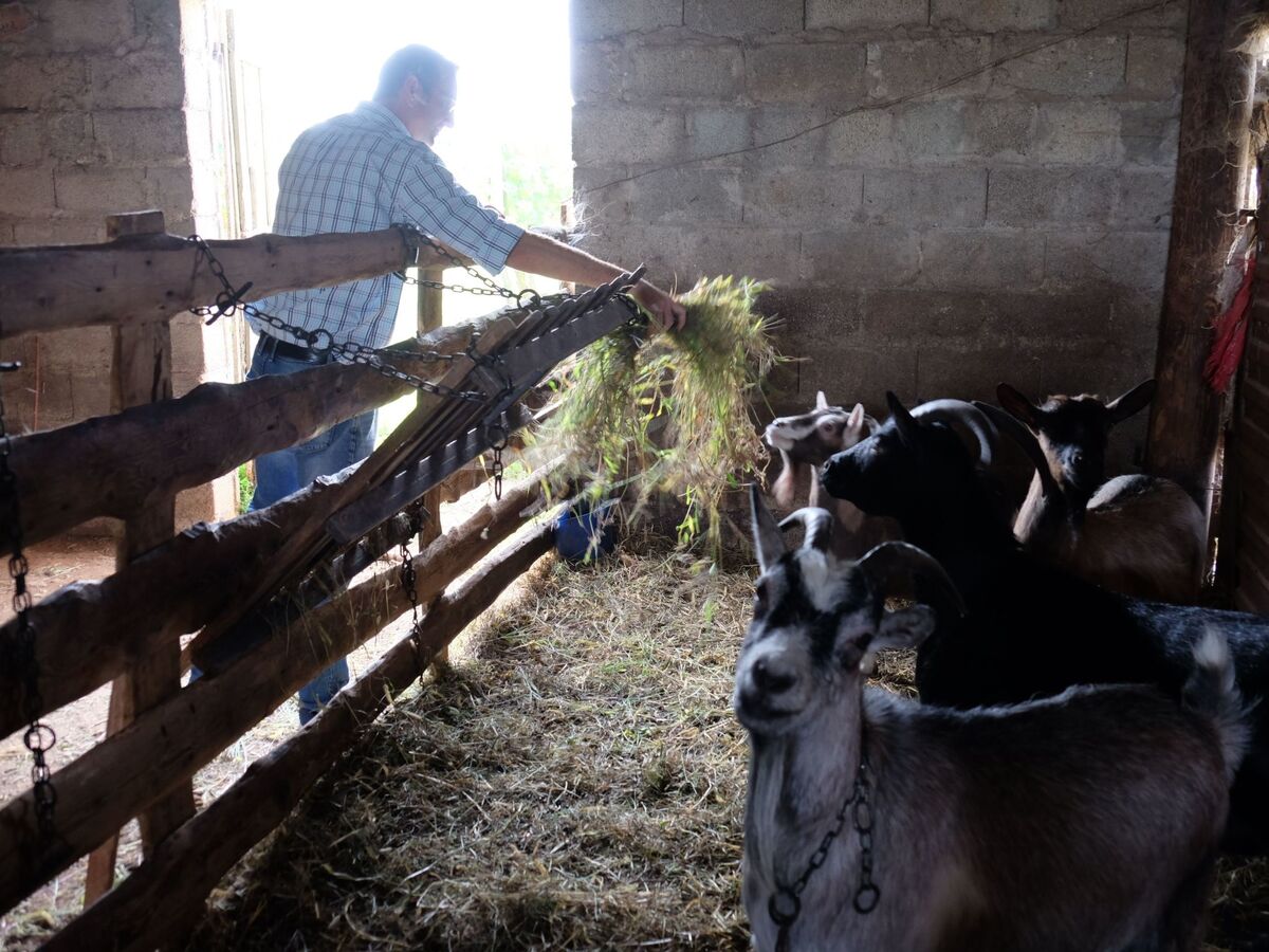 Appartement à la ferme Corte Canale Virgilio, Volta Mantovana - Photo 41