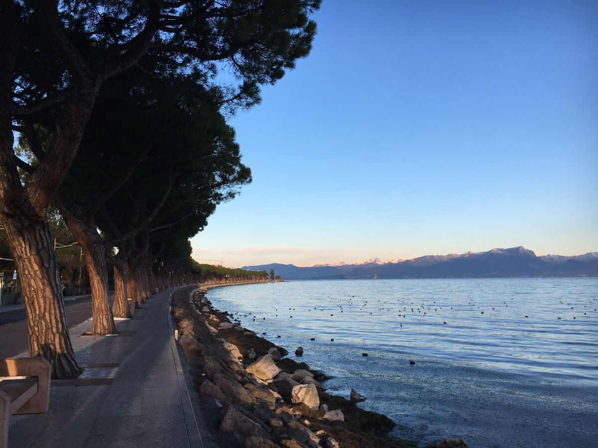Appartement 10 pers. Lake Garda, animaux acceptés - Photo 36