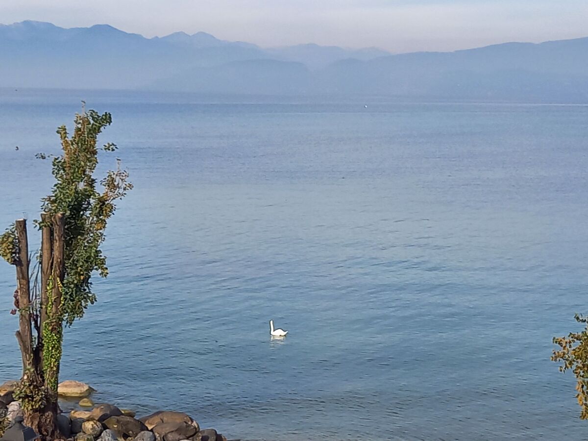 Appartement 4 pers. à 20 m de la plage, Peschiera - Photo 4