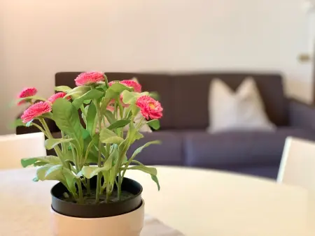 Appartement 2 chambres avec jardin et terrasse à Sirmione : photo 10