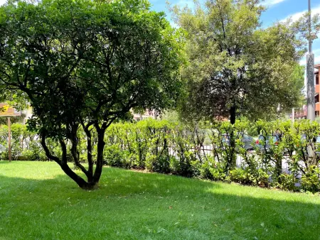 Appartement 2 chambres avec jardin à Sirmione : photo 12