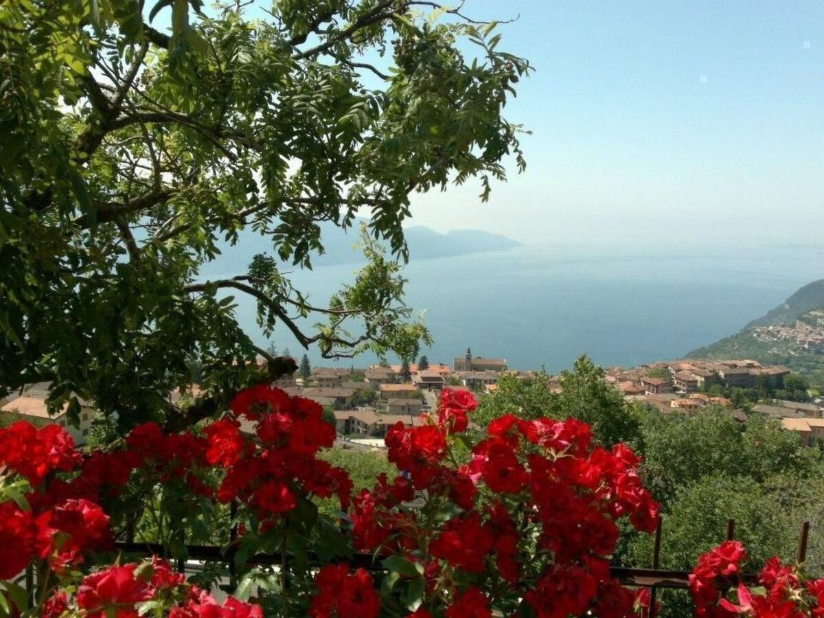 Stella del Garda – Appartement 2 chambres, 500 m altitude - Photo 54
