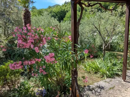 Bungalow Oliveto avec vue lac de Garde à Manerba : photo 25