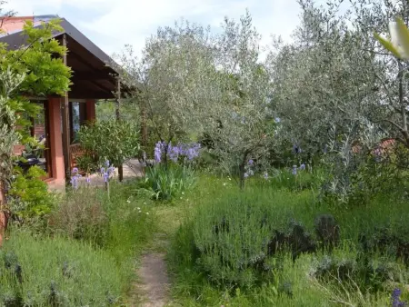 Bungalow Oliveto avec vue lac de Garde à Manerba : photo 26