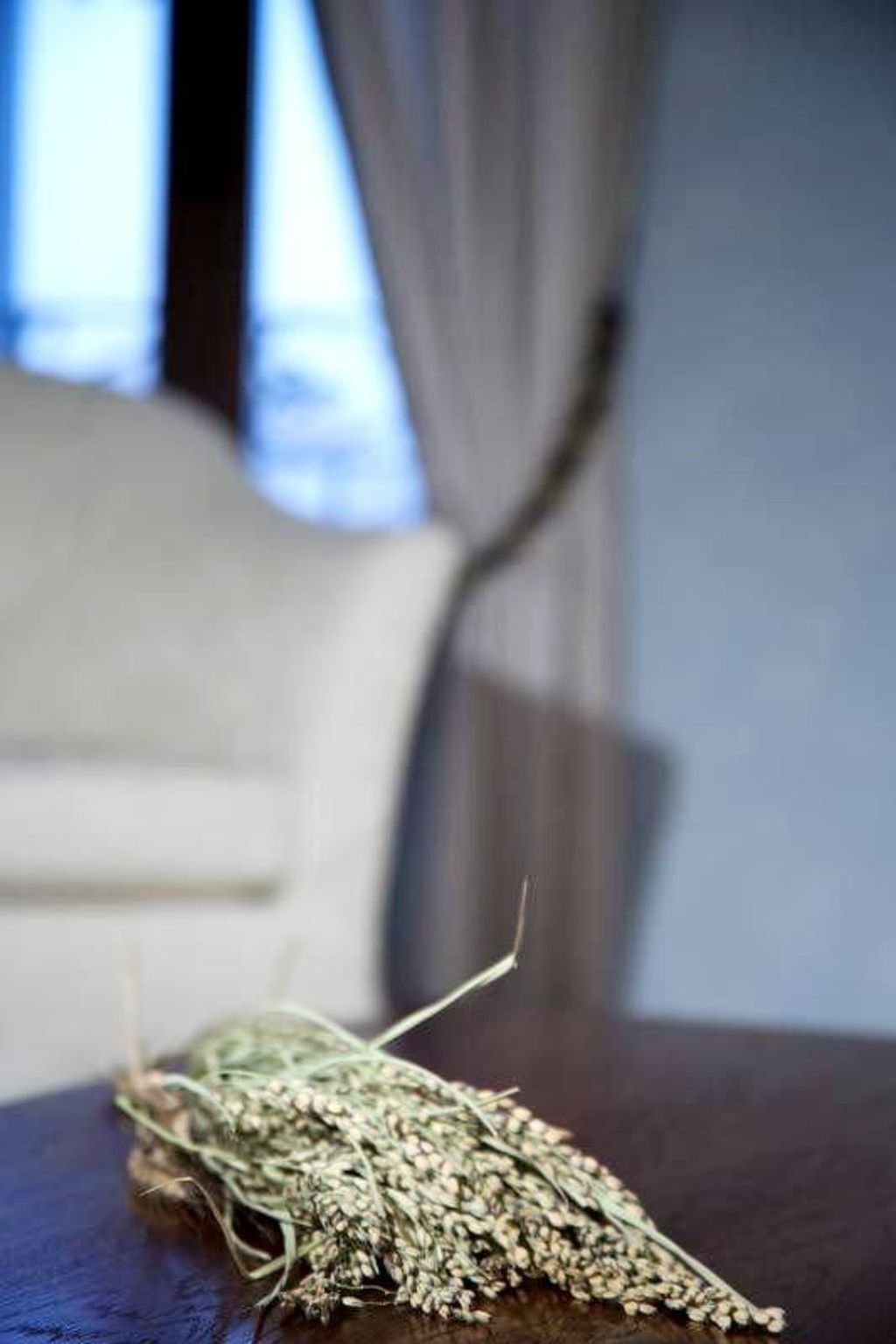 Chambre bleue en agritourisme, Bedizzole - Photo 5