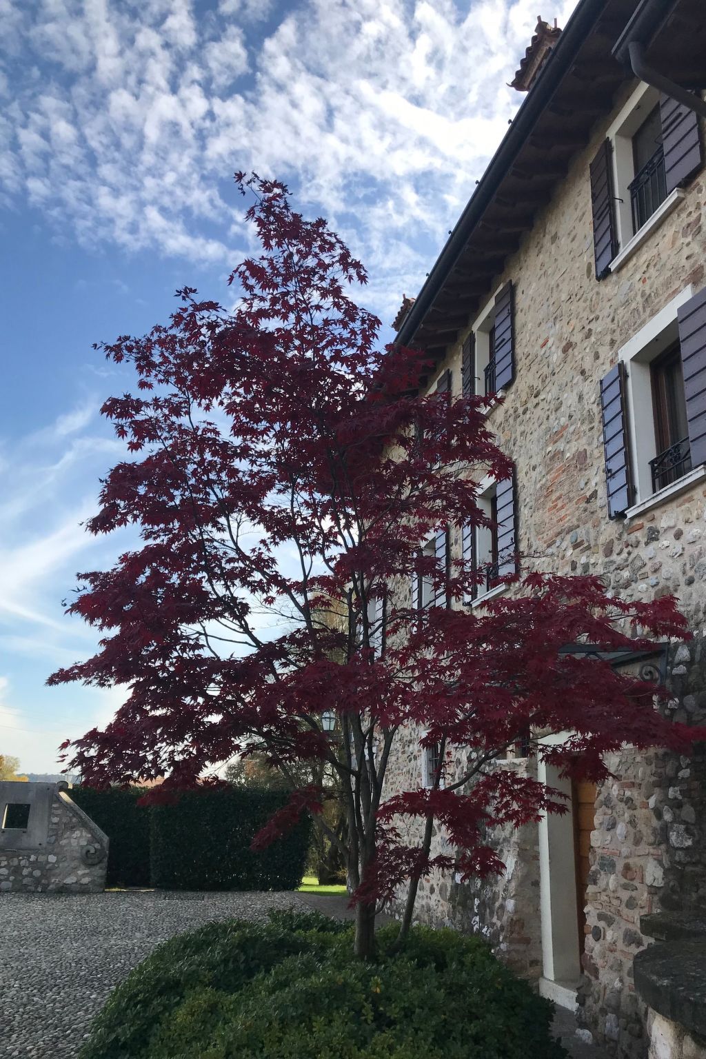 Chambre bleue en agritourisme, Bedizzole - Photo 6