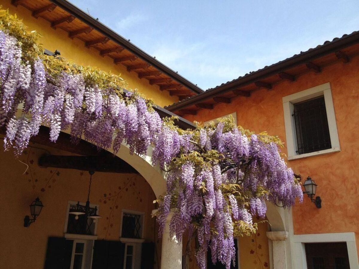 Chambre bleue en agritourisme, Bedizzole - Photo 17