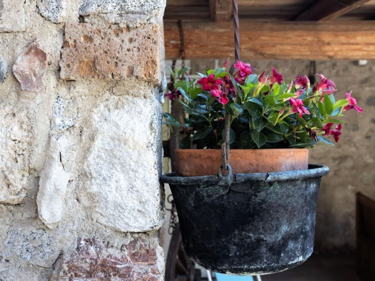 Casa Rita 4 : Appartement avec vue lac à Limone sul Garda - Photo 12