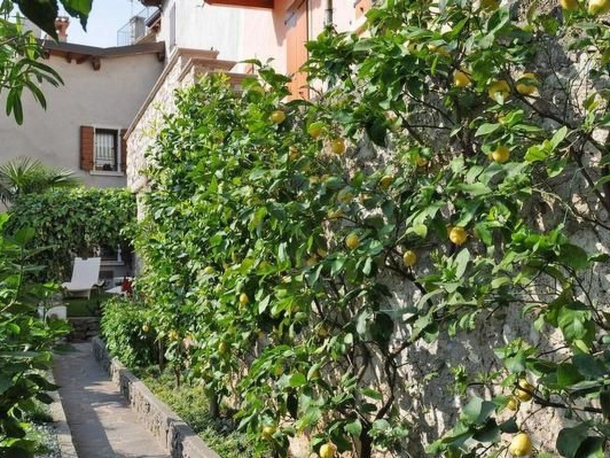 Casetta Limone – Maison 2 ch, jardin de citronniers, lac à 100 m - Photo 23