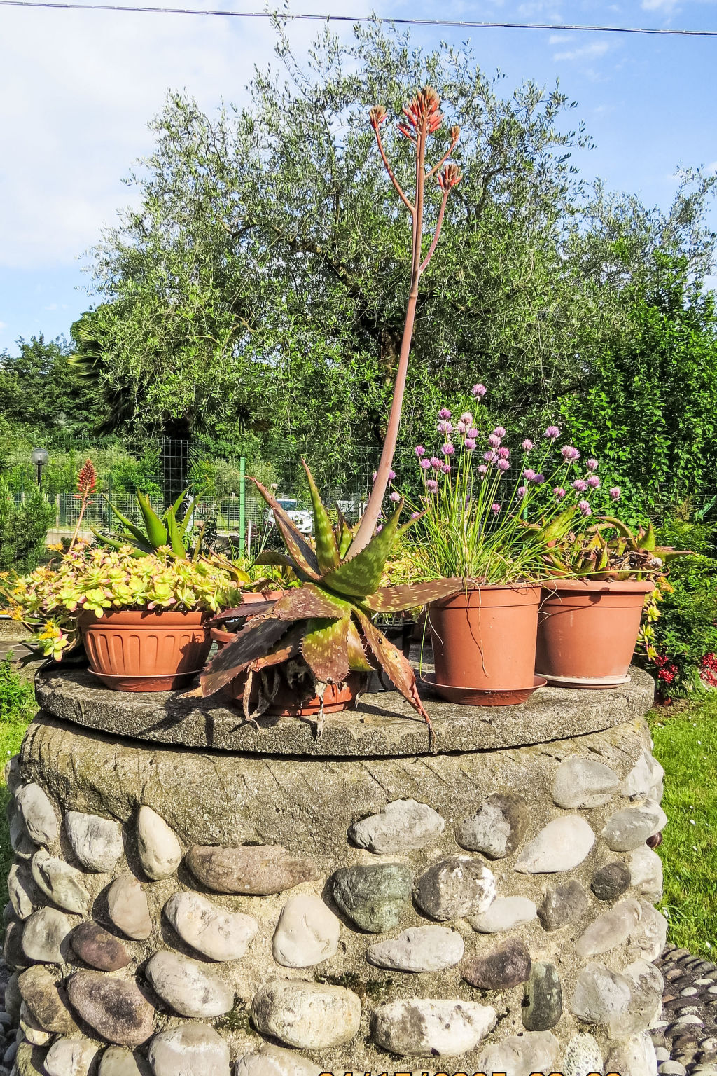 Appartement 6 pers. avec jardin à Riva del Garda - Photo 29