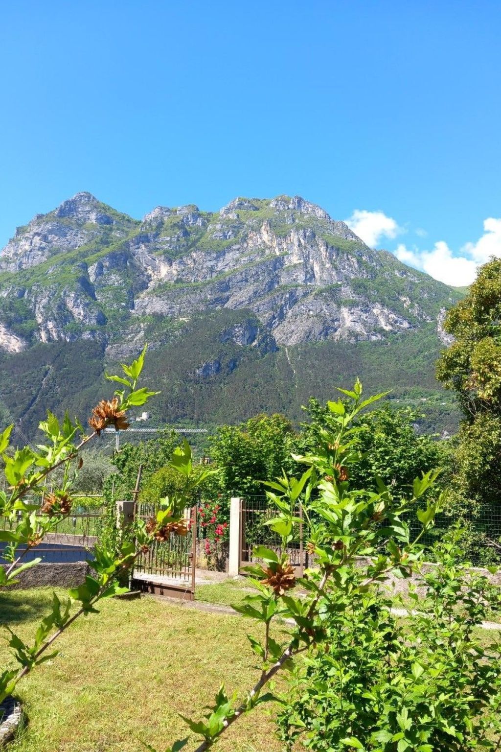 Appartement 6 pers. avec jardin à Riva del Garda - Photo 30