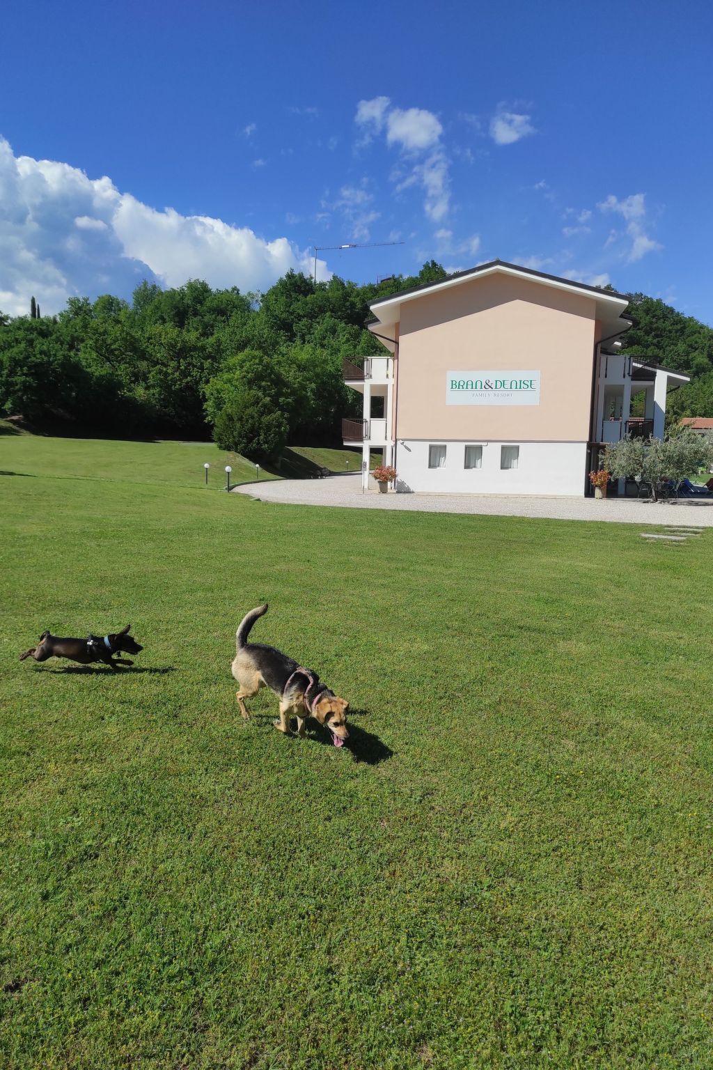 Appartement 4 personnes avec piscine près du lac de Garde - Photo 18