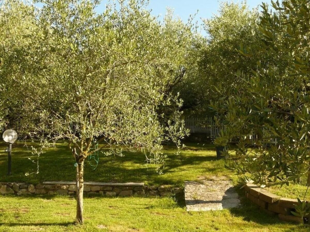 Villa d'Albisano avec piscine chauffée et 3 000 m² de terrain - Photo 22