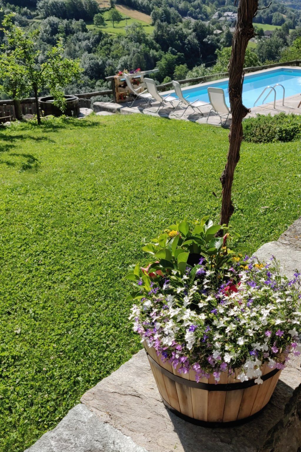 Appartement La Mucca – terrasse et piscine en Val d'Aoste - Photo 18