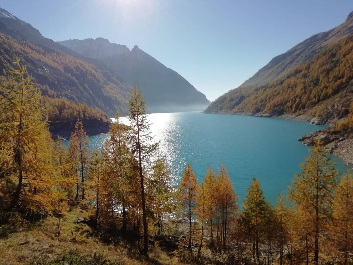 Appartement 1 chambre aux Alpes, près du lac Lexert - Photo 22