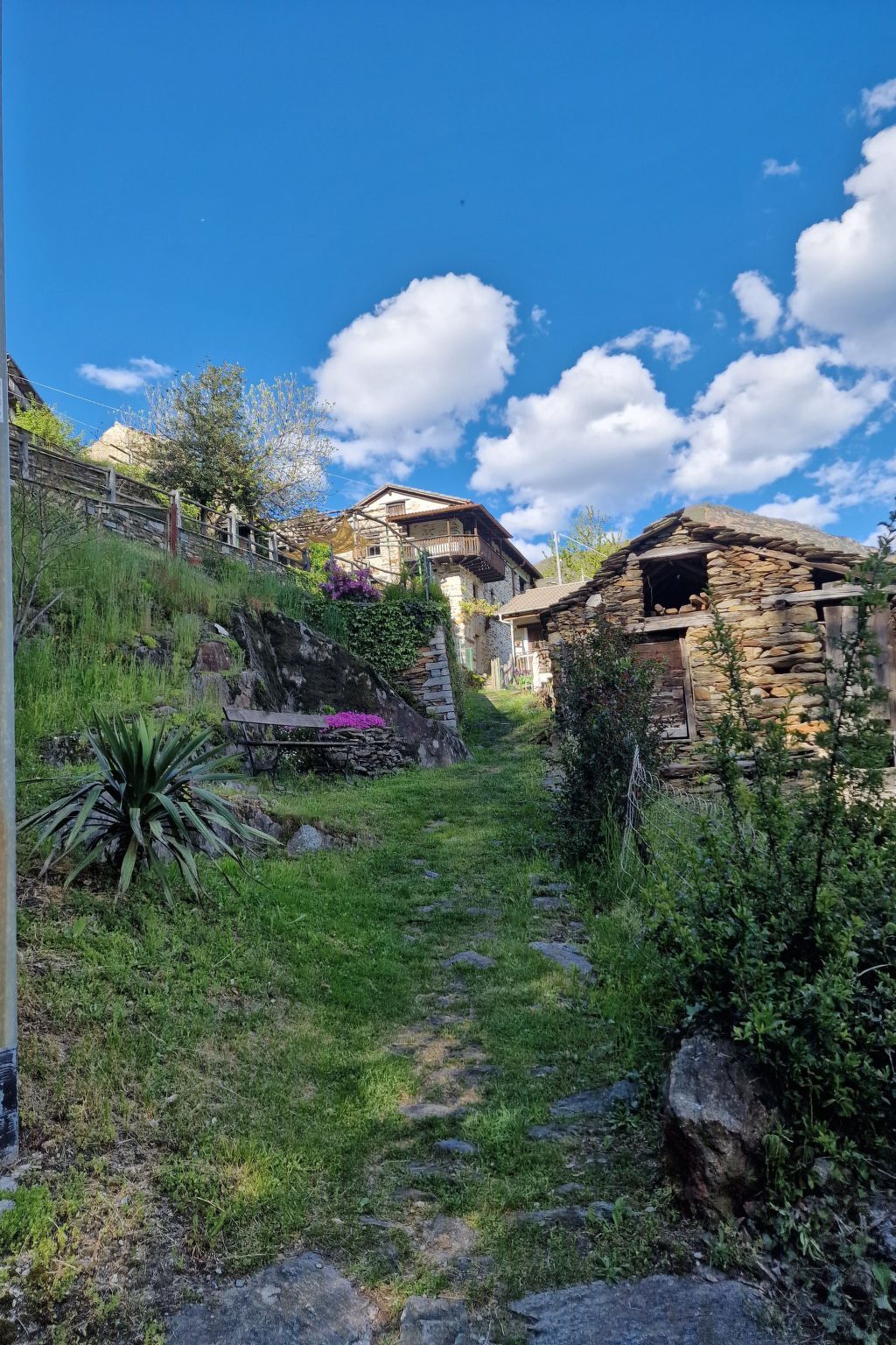 Casa Piccola : maison 1 chambre à Crealla, accès randonnée - Photo 23