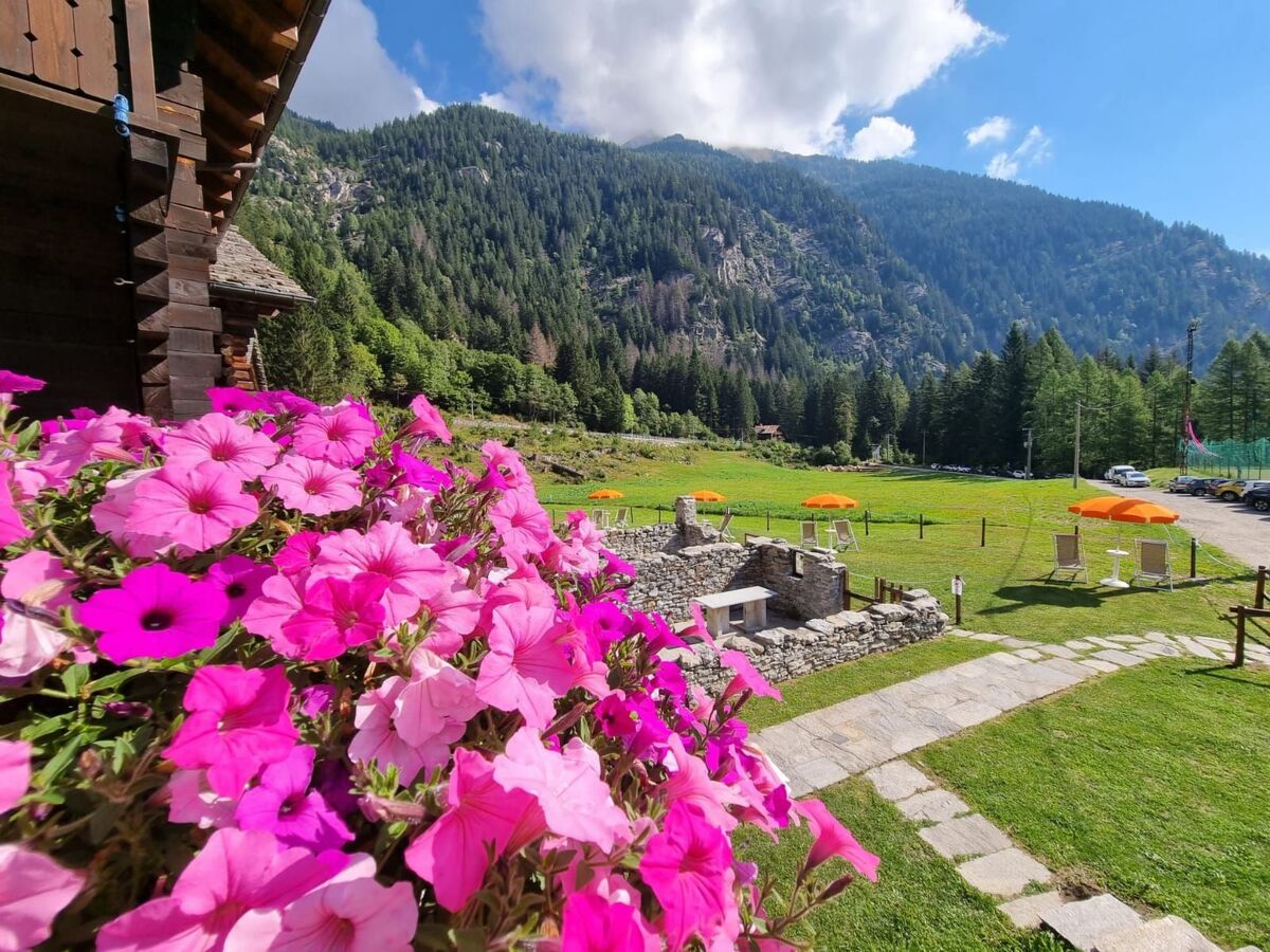 Chalet Borgo Walser Testa 6, Macugnaga - Photo 21
