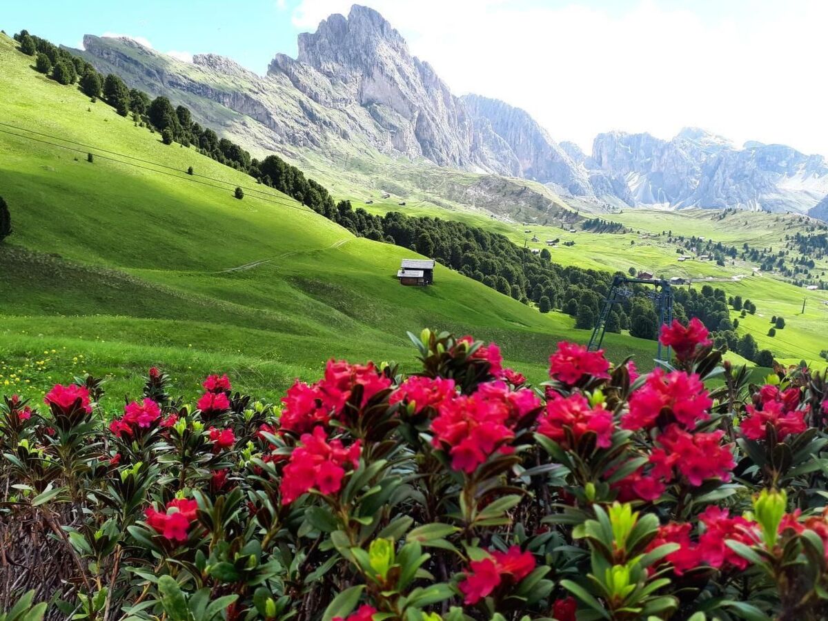 Cesa Vedla – Appartement 3 pers. Dolomites, jardin privé - Photo 21