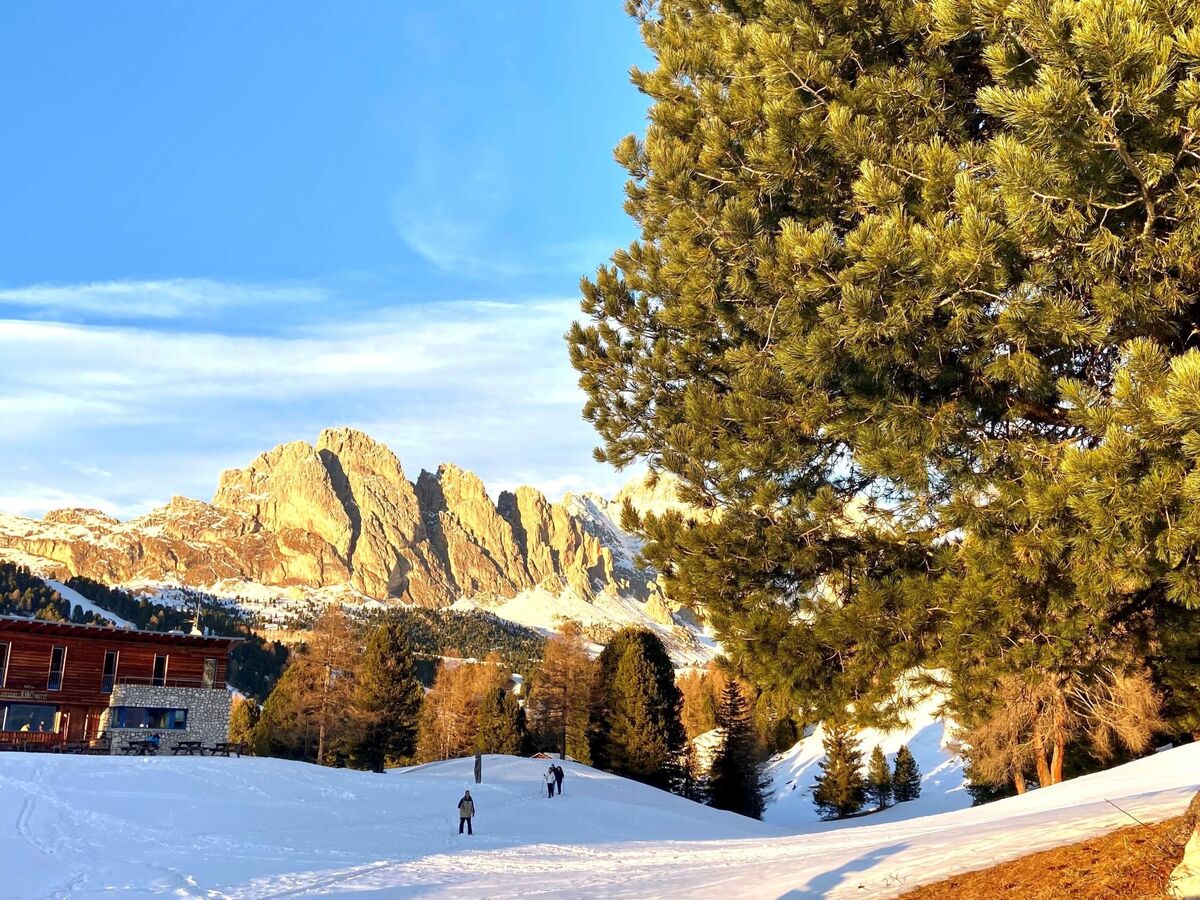Cesa Vedla – Appartement 3 pers. Dolomites, jardin privé - Photo 34