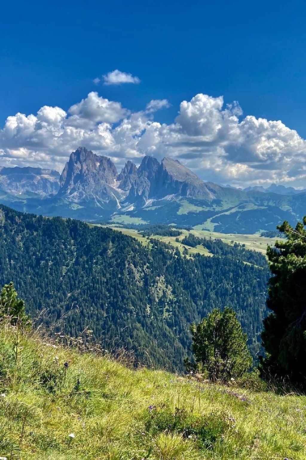 Cesa Vedla – Appartement 3 pers. Dolomites, jardin privé - Photo 42
