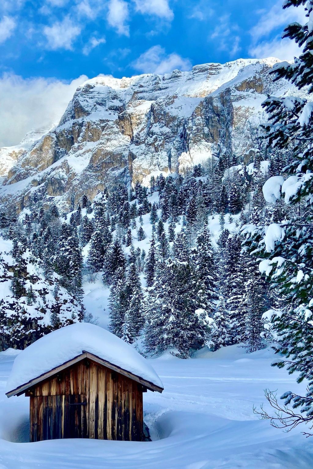 Cesa Vedla - Appartement 3 pers. Dolomites - Photo 19