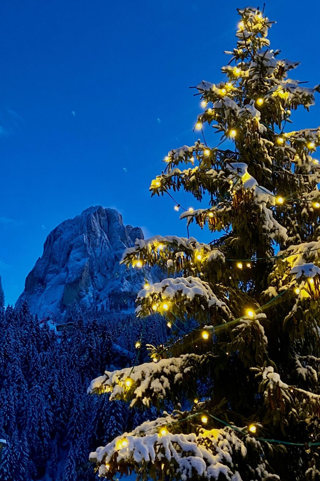 Cesa Vedla - Appartement 3 pers. Dolomites - Photo 21
