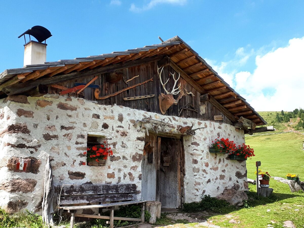 Cesa Vedla - Appartement 3 pers. Dolomites - Photo 50