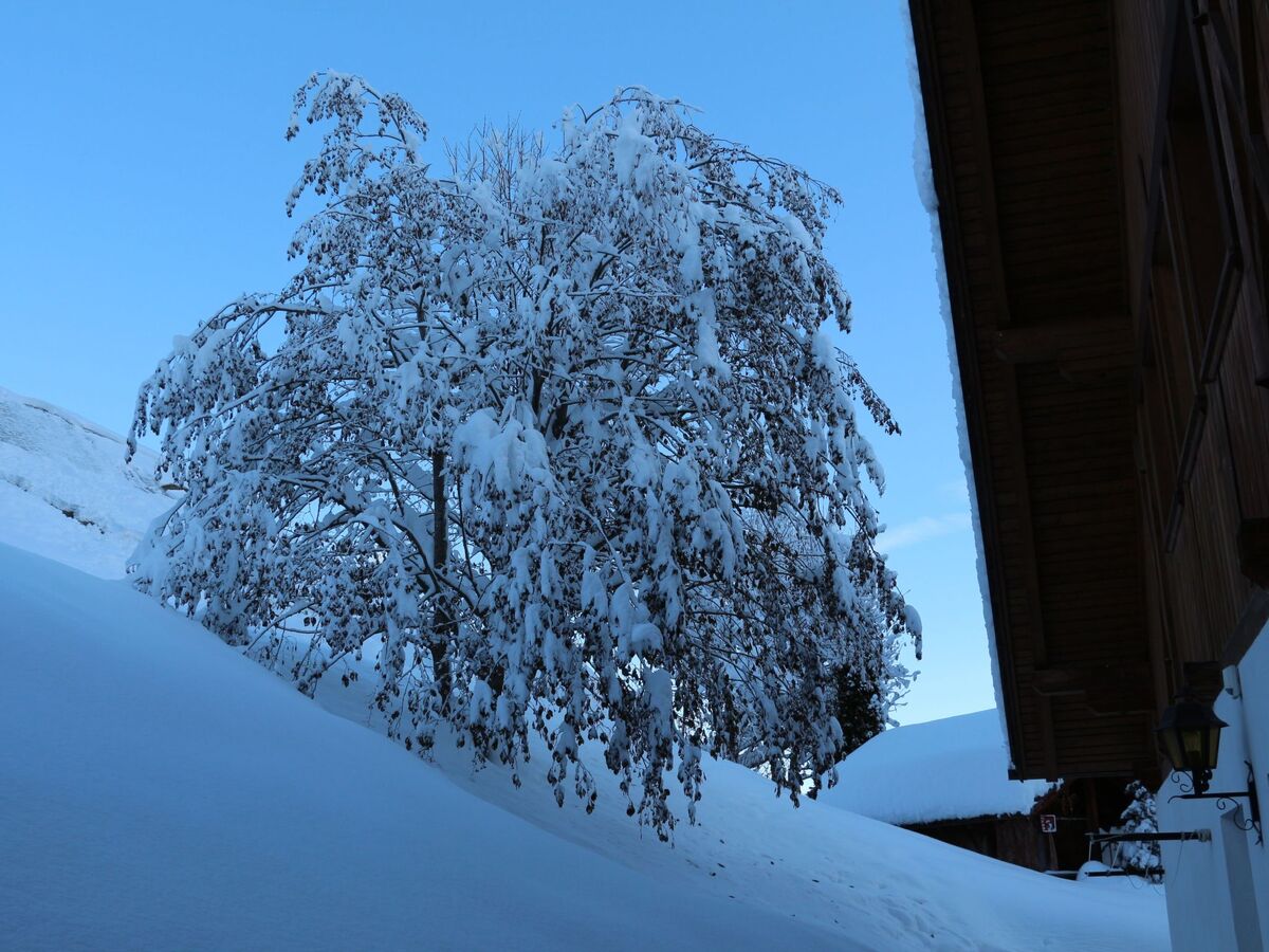 Appartement 5 pers. aux portes des pistes, Dolomites - Photo 29