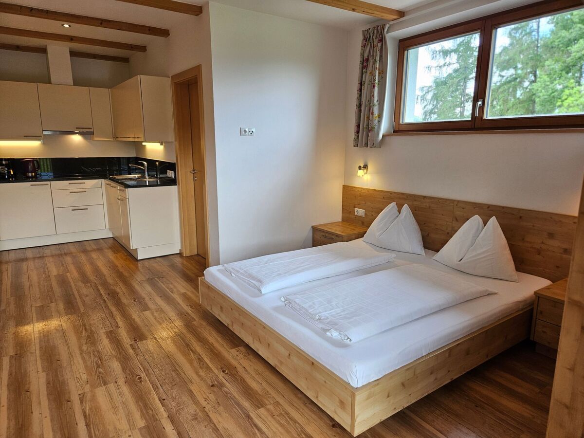 Panorama Studio – Stefansdorf, accès direct Kronplatz - Photo 5