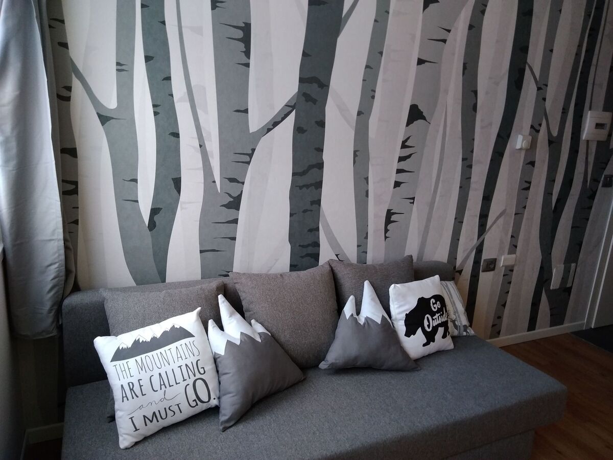 Appartement 28 m² à 300m des pistes, Passo del Tonale - Photo 3