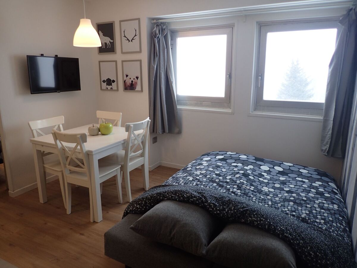 Appartement 28 m² à 300m des pistes, Passo del Tonale - Photo 9