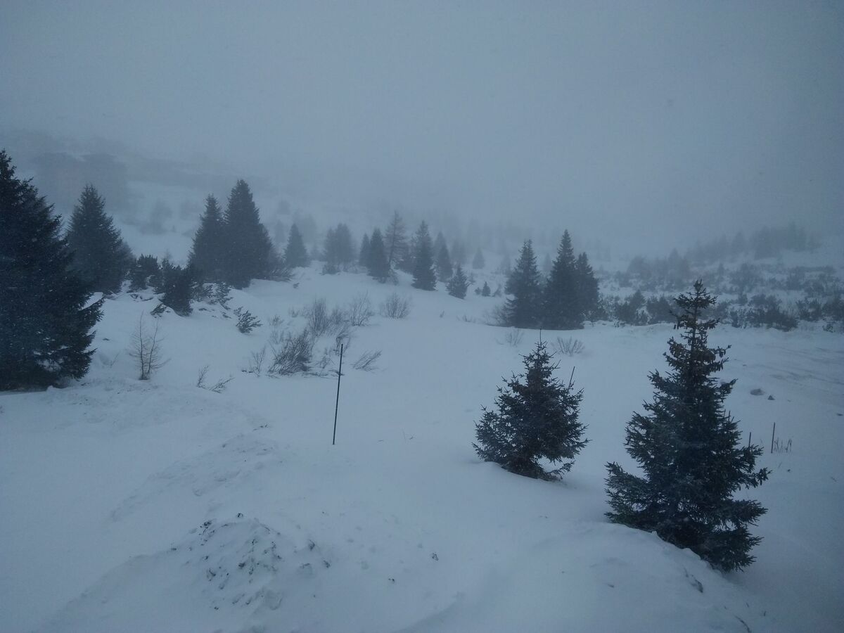 Appartement 28 m² à 300m des pistes, Passo del Tonale - Photo 16