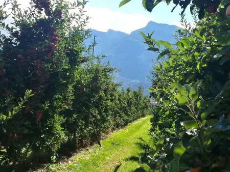 Appartement Irma - 6 pers., jardin privé près des lacs : photo 33