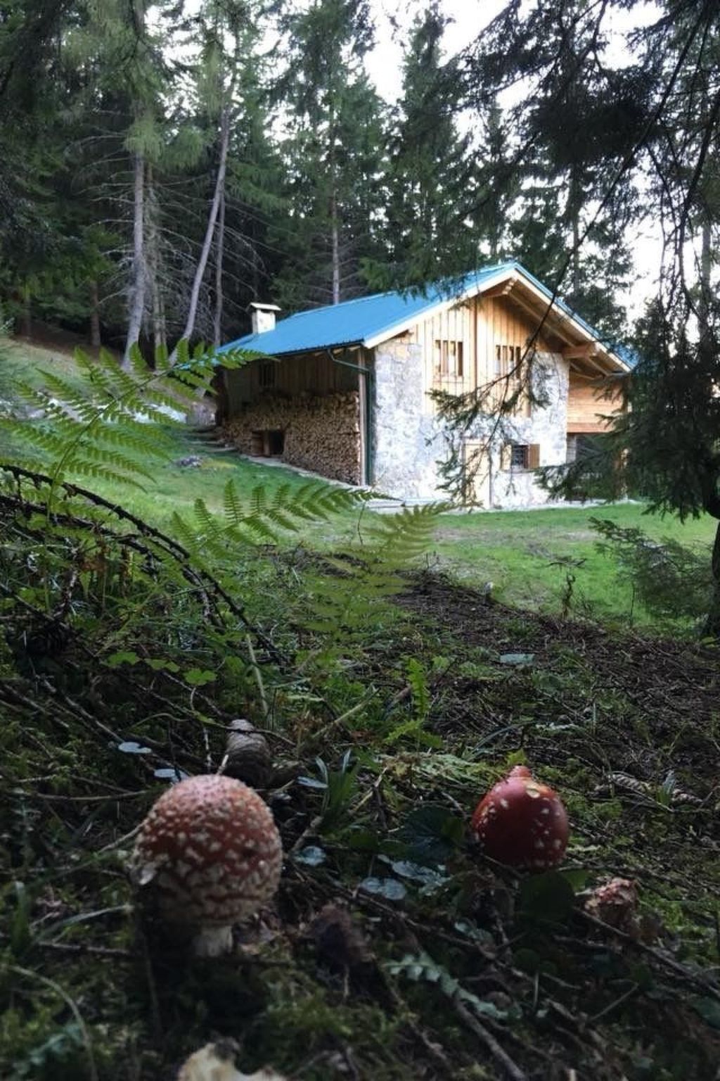 Refuge de montagne avec sauna à Pieve di Bono - Photo 1
