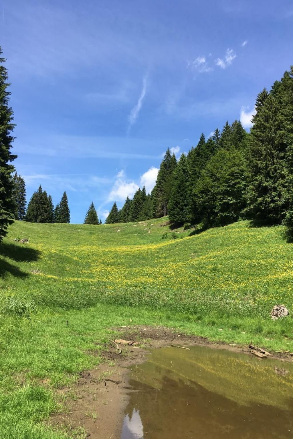 Refuge de montagne avec sauna à Pieve di Bono - Photo 2