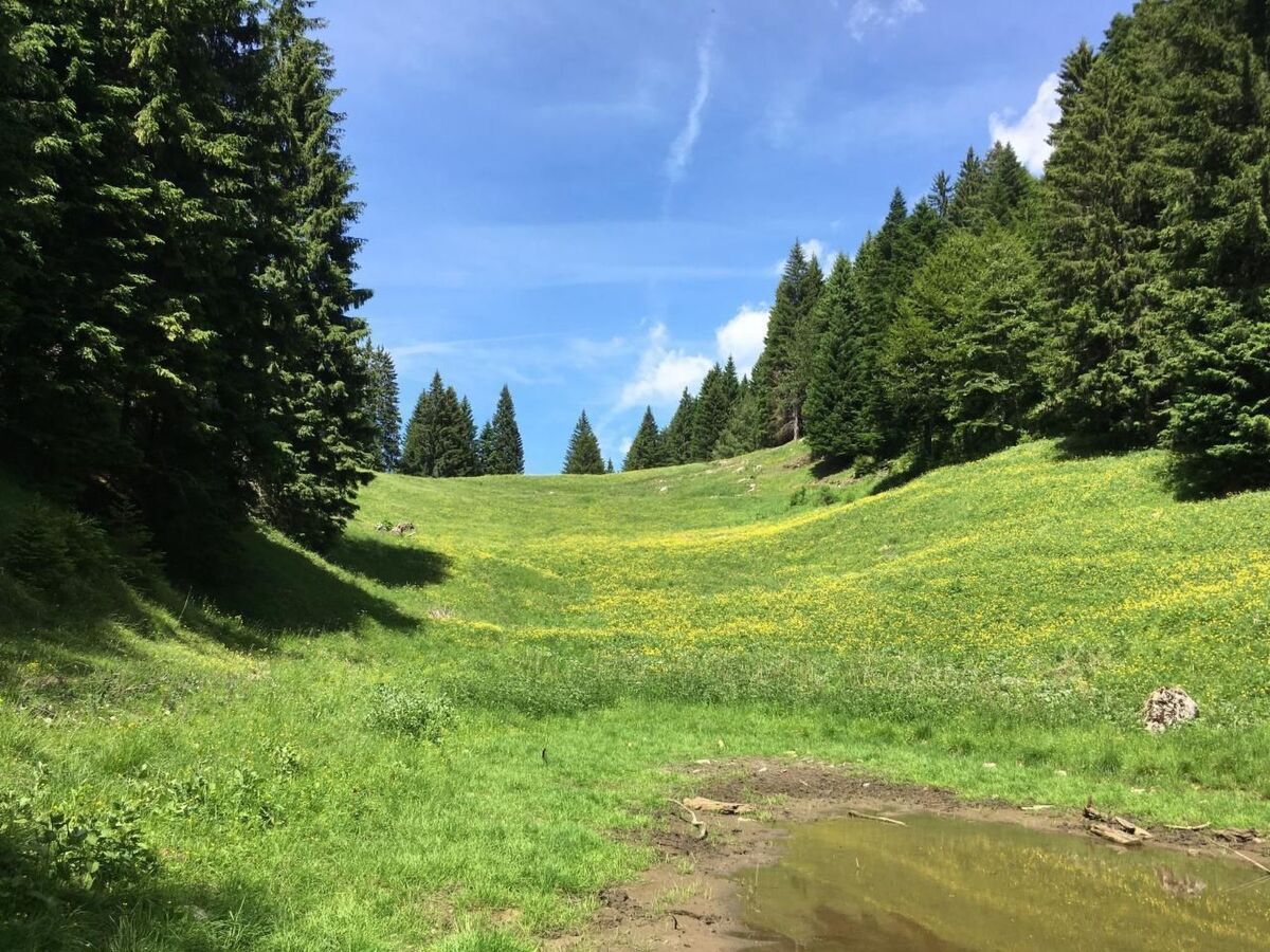 Refuge de montagne avec sauna à Pieve di Bono - Photo 3