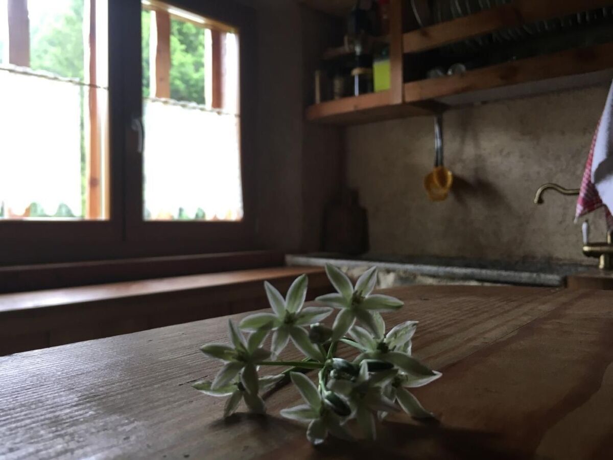 Refuge de montagne avec sauna à Pieve di Bono - Photo 25