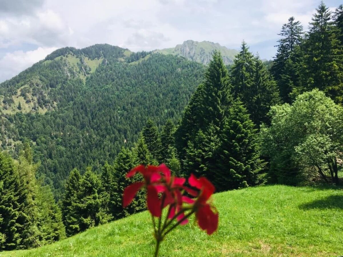 Refuge de montagne avec sauna à Pieve di Bono - Photo 28