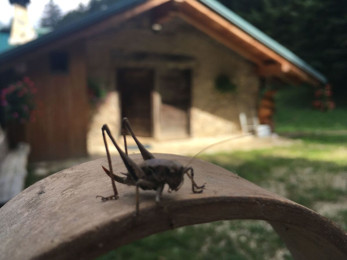 Refuge de montagne avec sauna à Pieve di Bono - Photo 31