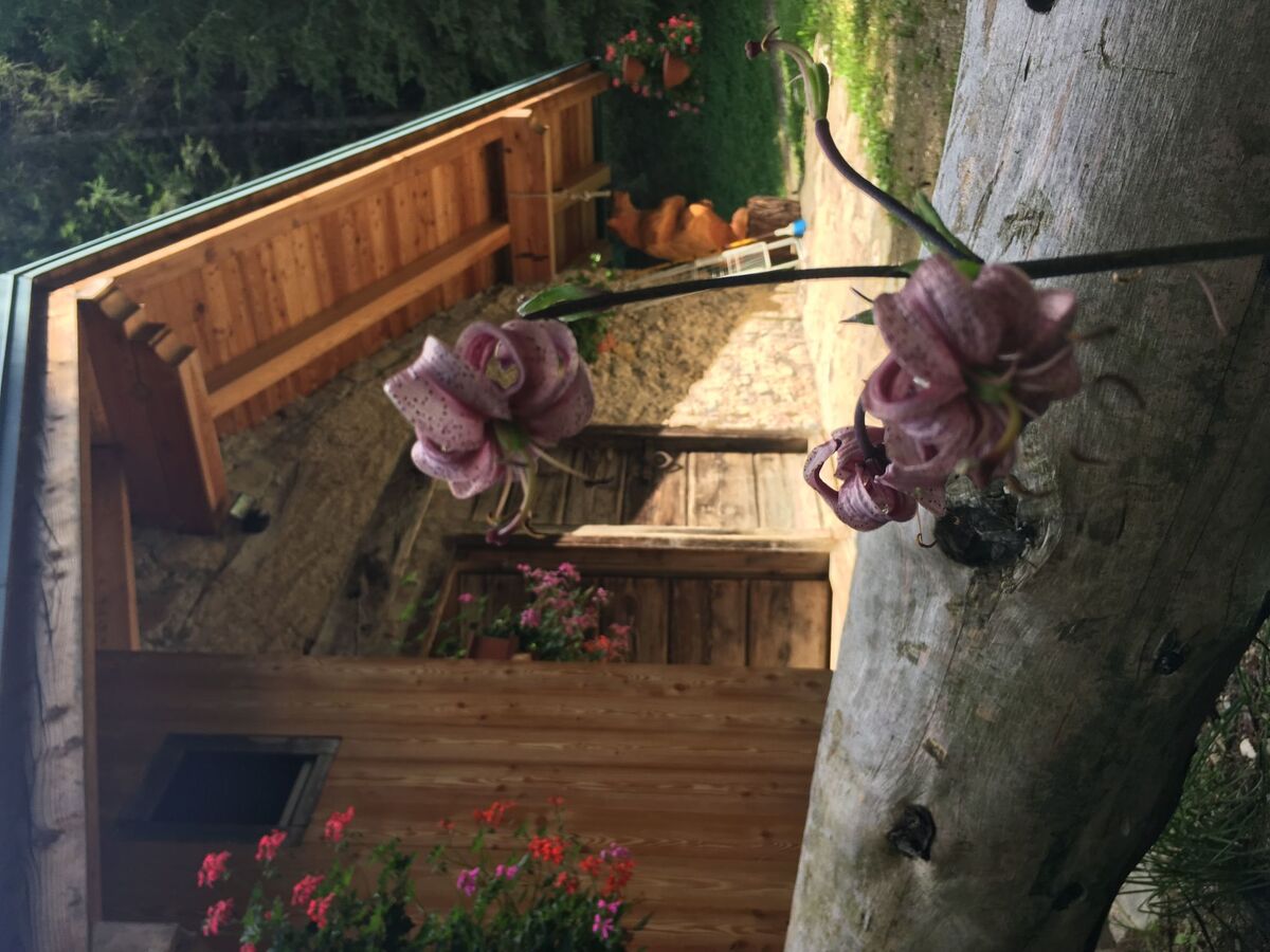 Refuge de montagne avec sauna à Pieve di Bono - Photo 32