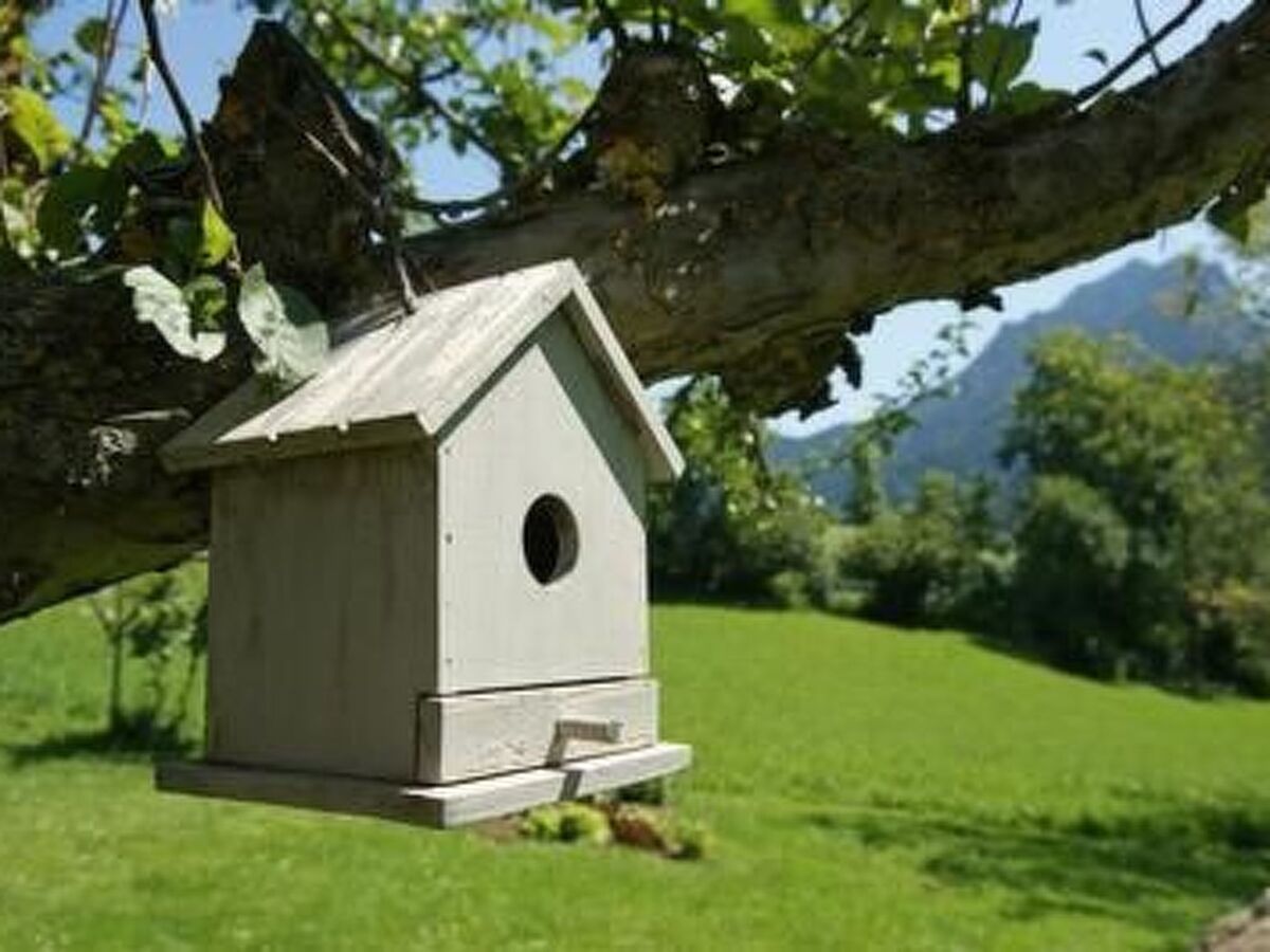 Chalet isolé 2000 m² dans les Dolomites - Photo 22