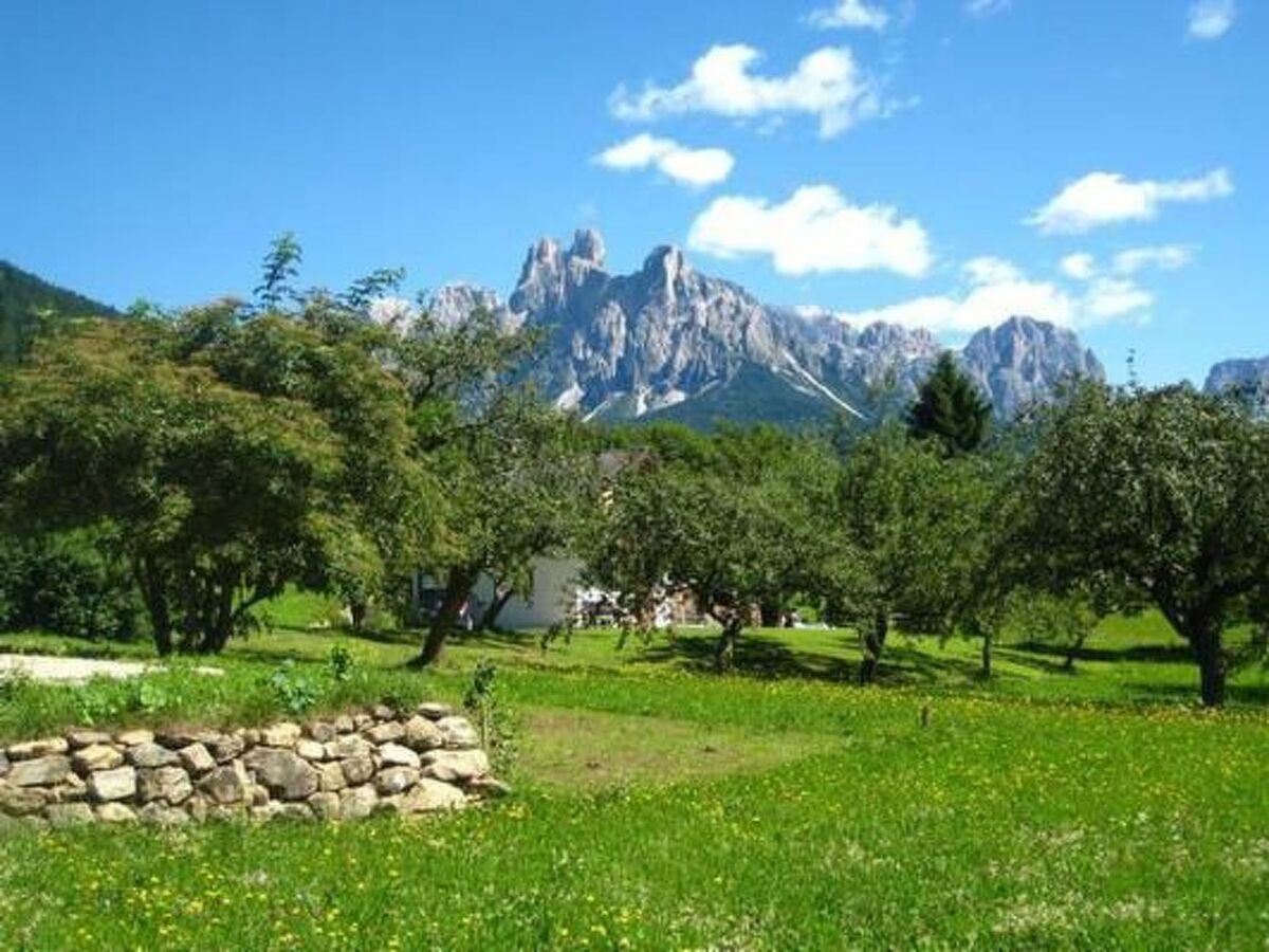 Chalet isolé 2000 m² dans les Dolomites - Photo 23