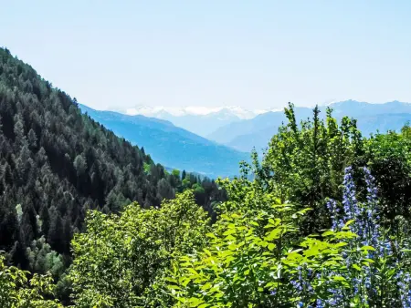 Maso Tòttn, Maison 5 personnes à Frassilongo - Photo 21