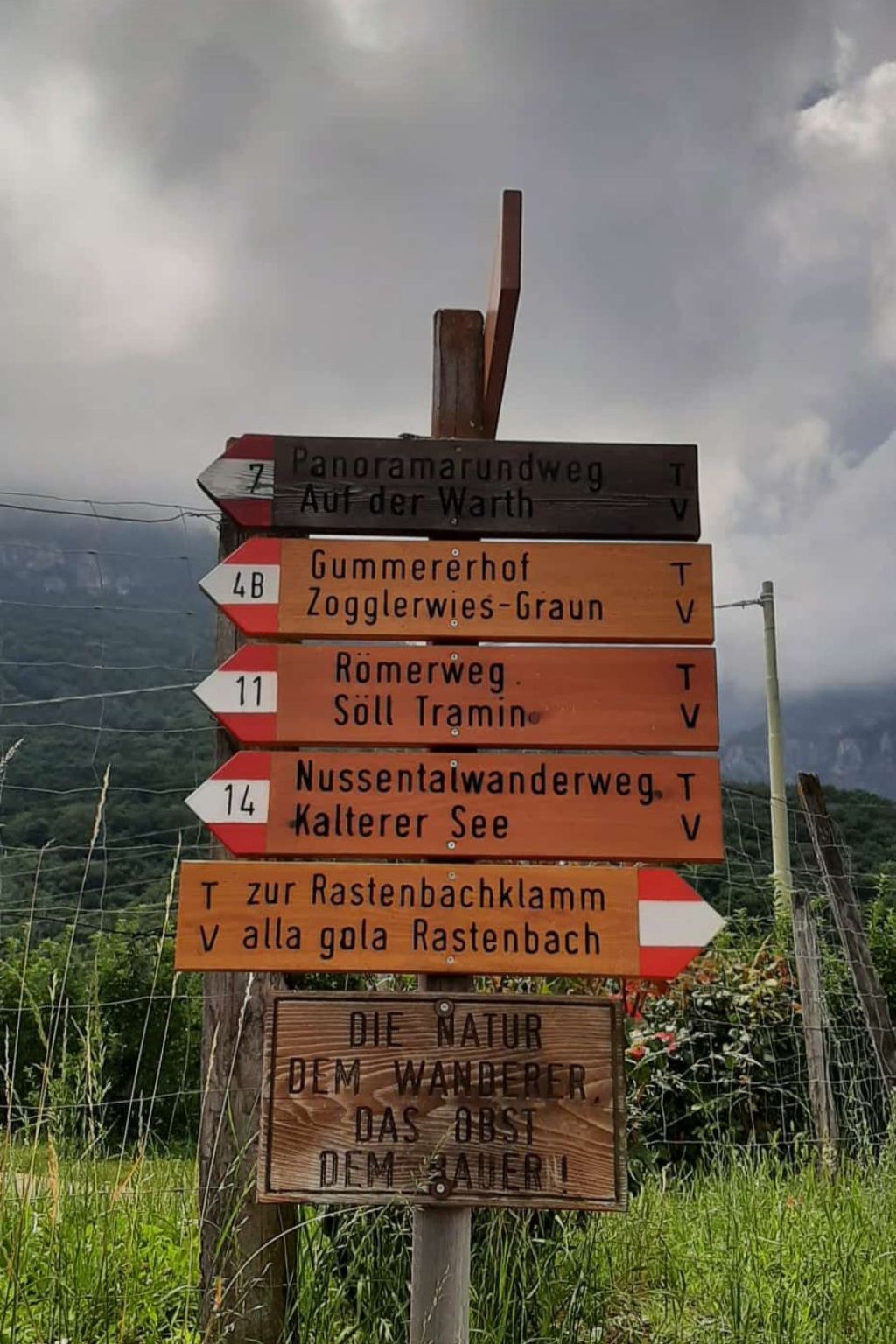 Bergblick – Appartement 6 pers. vue montagnes à Kaltern - Photo 24