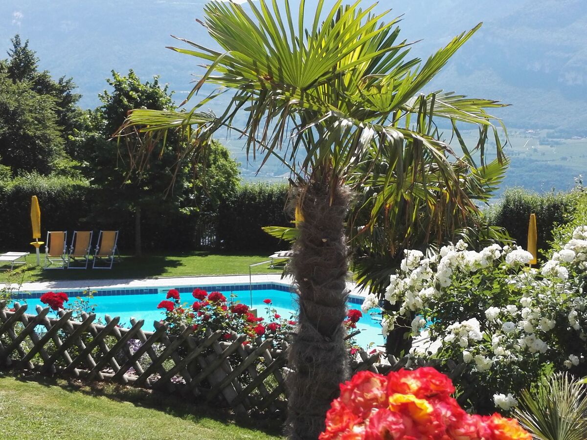 Appartement Gala+ Vernatsch à Aldein, vue panoramique - Photo 32