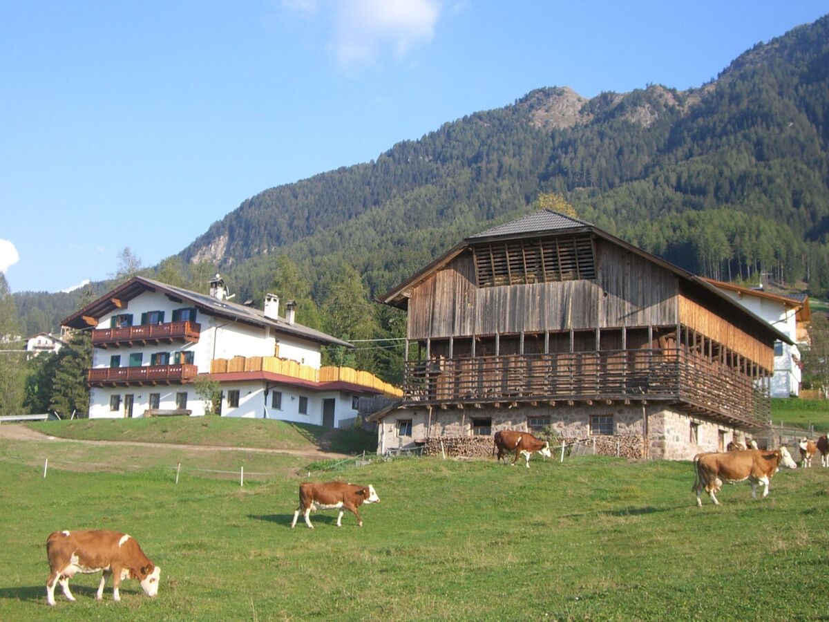 Kompatscherhof – Appartement familial à la ferme - Photo 1