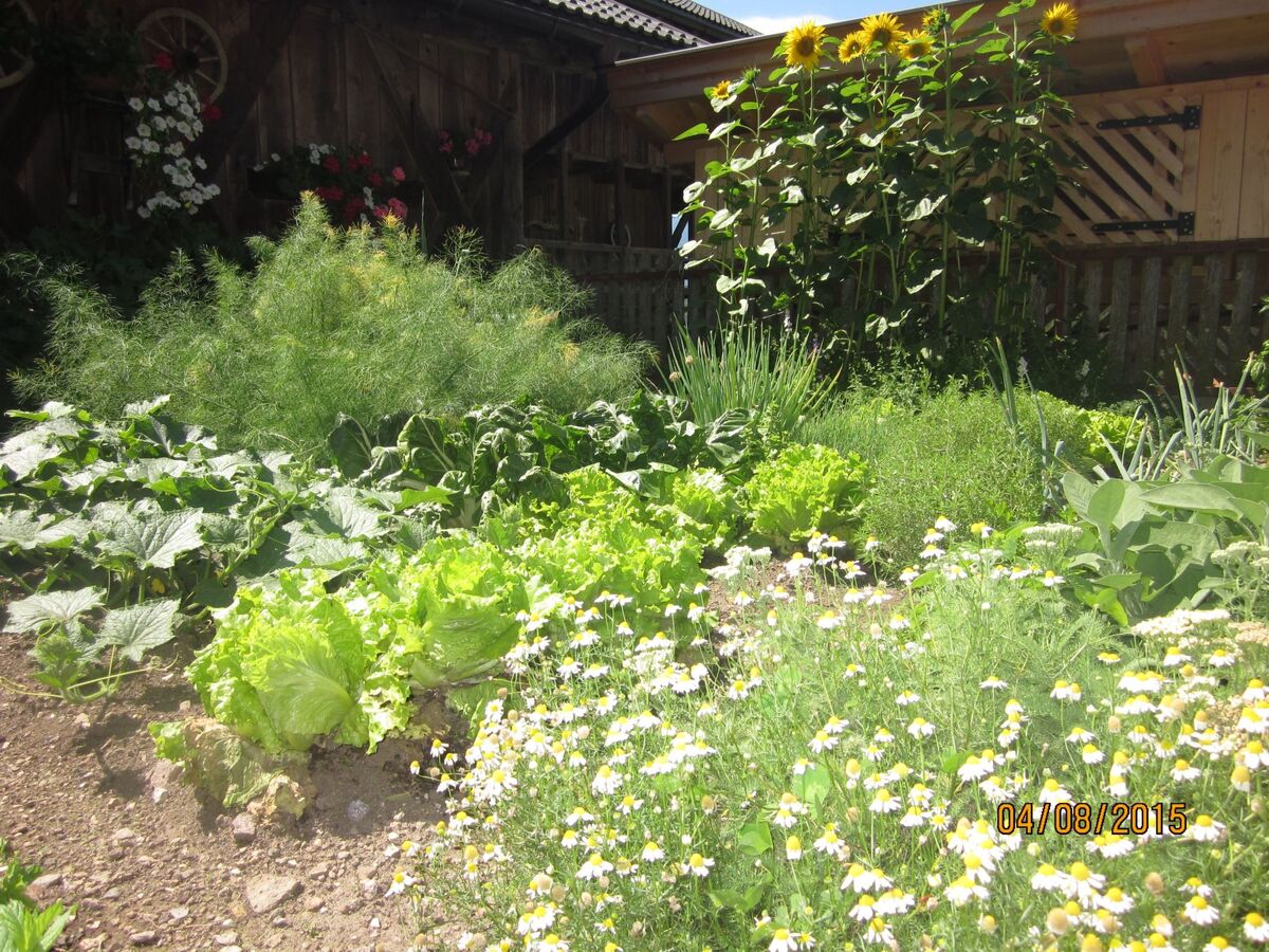 Kompatscherhof – Appartement familial à la ferme - Photo 11